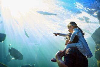 ¿Cuánto cuesta entrar al Acuario Michin Guadalajara este verano? Aquí la información. Foto: ENVATO
