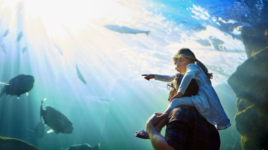 ¿Cuánto cuesta entrar al Acuario Michin Guadalajara este verano? Aquí la información. Foto: ENVATO