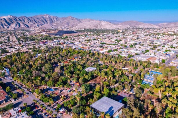 Torreón modernizará el Bosque Venustiano Carranza: conoce el proyecto