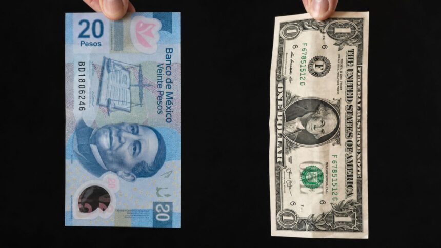 Así amanece el dólar hoy 10 de julio de 2026: Peso mexicano registra una ligera apreciación. Foto: ENVATO
