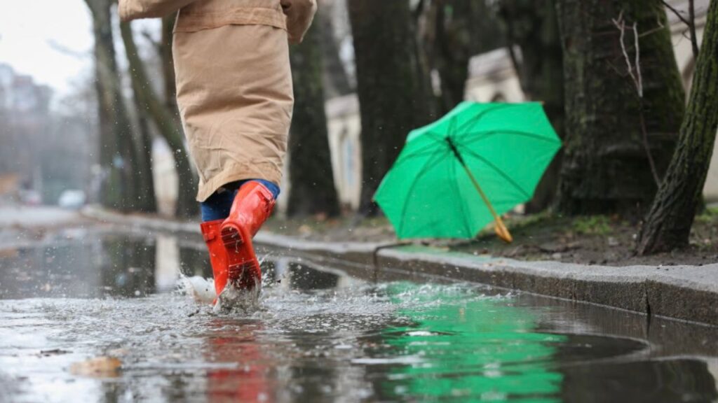 Alertas de lluvia en Guadalajara: Cómo consultar zonas inundables