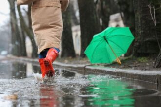 Alertas de lluvia en Guadalajara: Cómo consultar zonas inundables