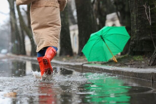 Alertas de lluvia en Guadalajara: Cómo consultar zonas inundables