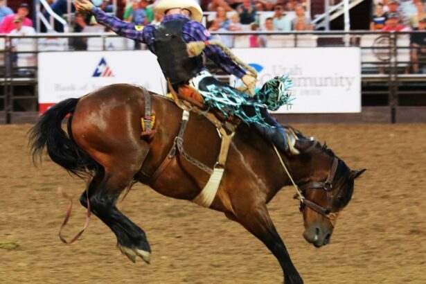 Boletos Rodeo Saltillo 2026: Precios y cómo comprar
