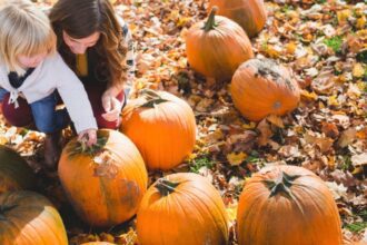 Ya hay fechas y precios del Parque de las Calabazas en Monterrey: esto debes saber. Foto: ENVATO