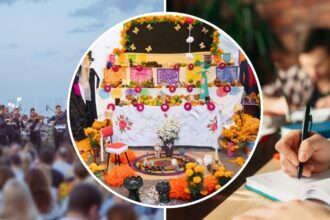 Qué hacer el fin de semana en Torreón: Aquí los detalles. Foto: ENVATO