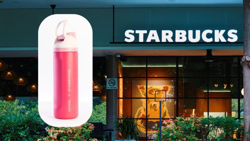 Botella Starbucks x Owala: cuánto cuesta y cuándo sale