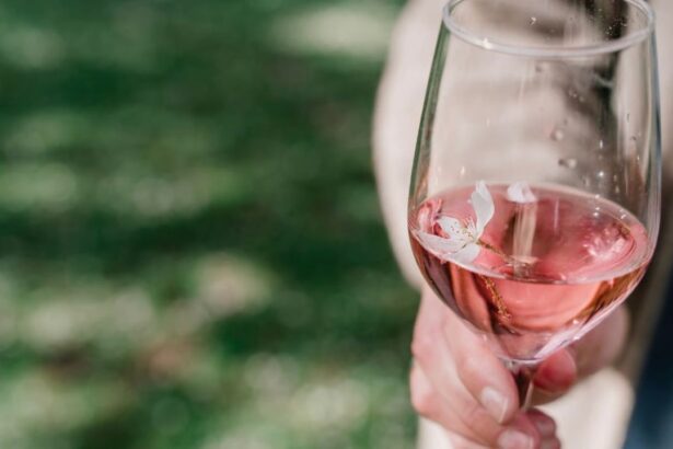 Llega a La Laguna el evento Rosé S’il Vous Plaît 2026