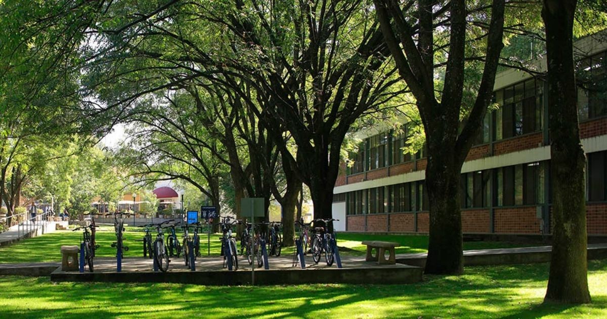 ITESO invierte 20 millones de pesos en prevención a COVID-19 - PLAYERS of  Life