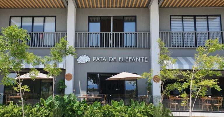 Pata de Elefante Nuevo Vallarta, tu nuevo favorito para desayunar