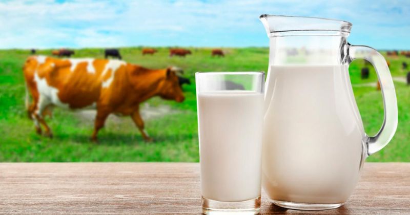Tres mejores marcas de leche para aumentar masa muscular, según profeco