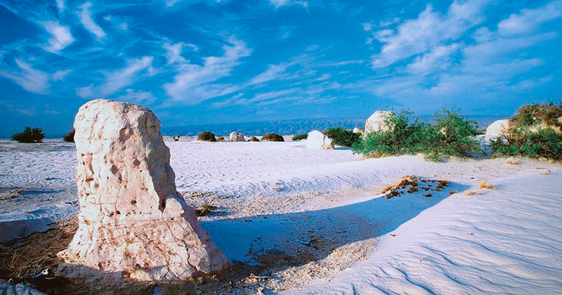 PARRAS DE LA FUENTE