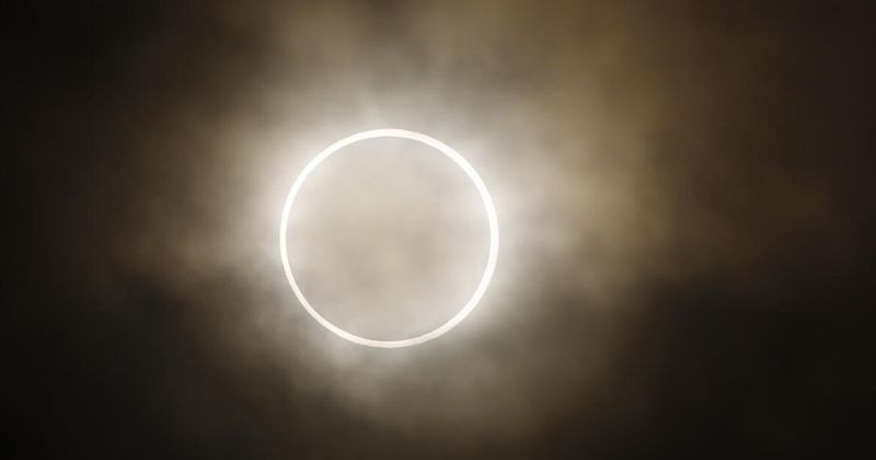 Peñoles Invita a explorar el eclipse anular 2023