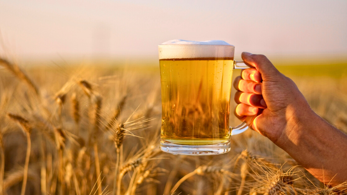 Cada primer viernes de agosto, se celebra el Día Internacional de la Cerveza.