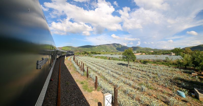 precios y horarios del viaje en tren de Guadalajara a tequila express