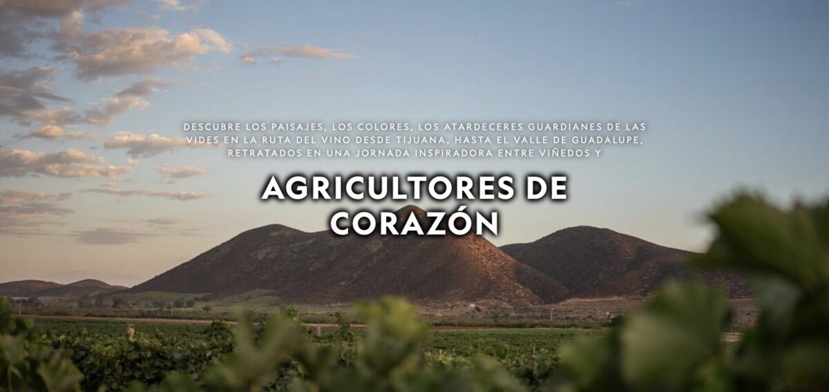 Conoce los detalles de la serie Agricultores de Corazón, sobre Bodegas Cetto y el vino en Baja California