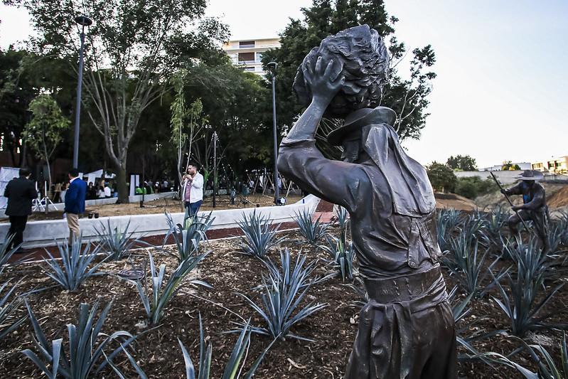 cuánto cuesta la entrada a museo tequila en guadalajara