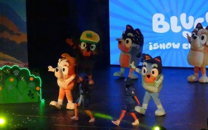 Bluey en vivo