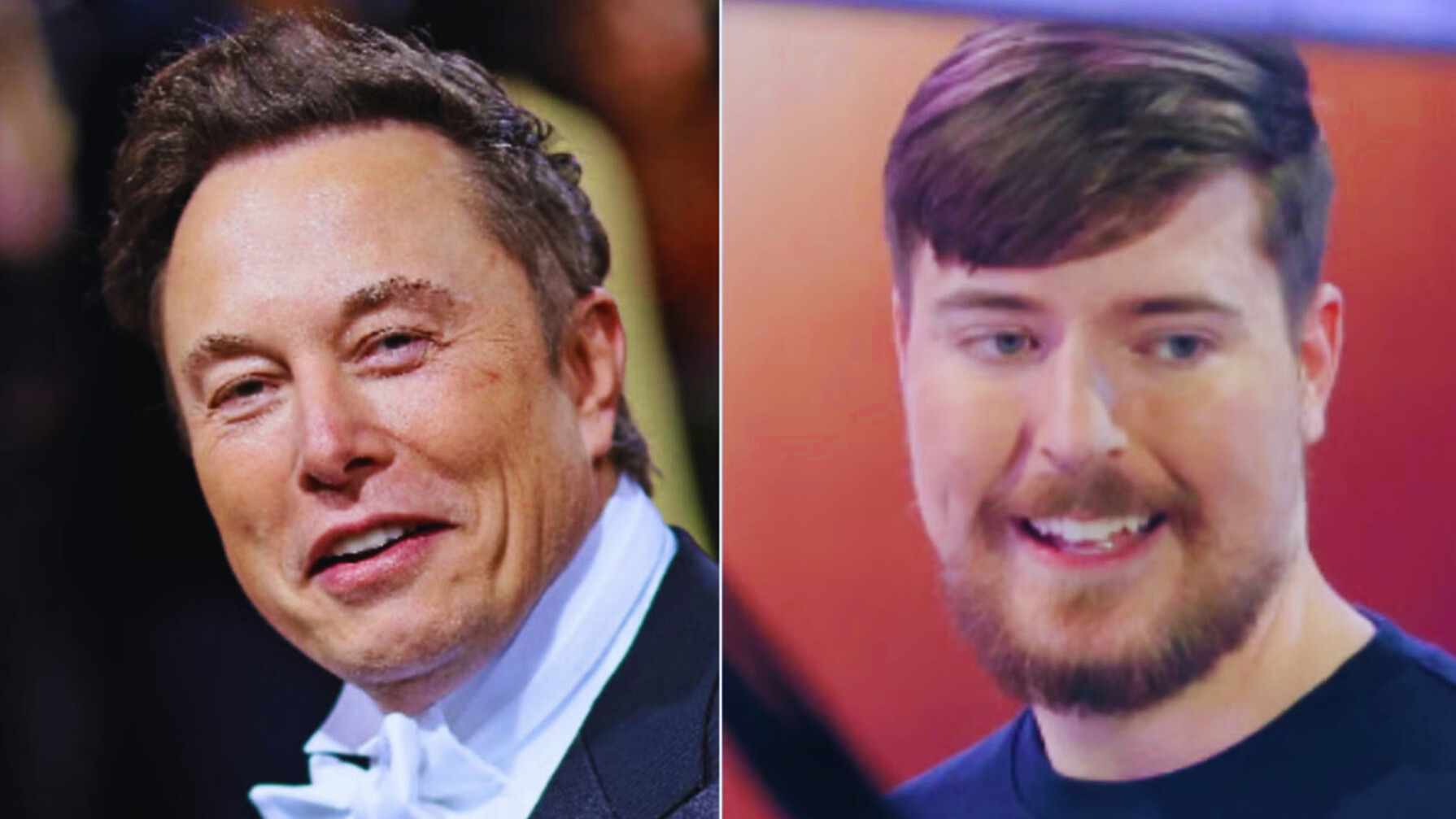 Elon Musk y MrBeast, los posibles dueños de TikTok