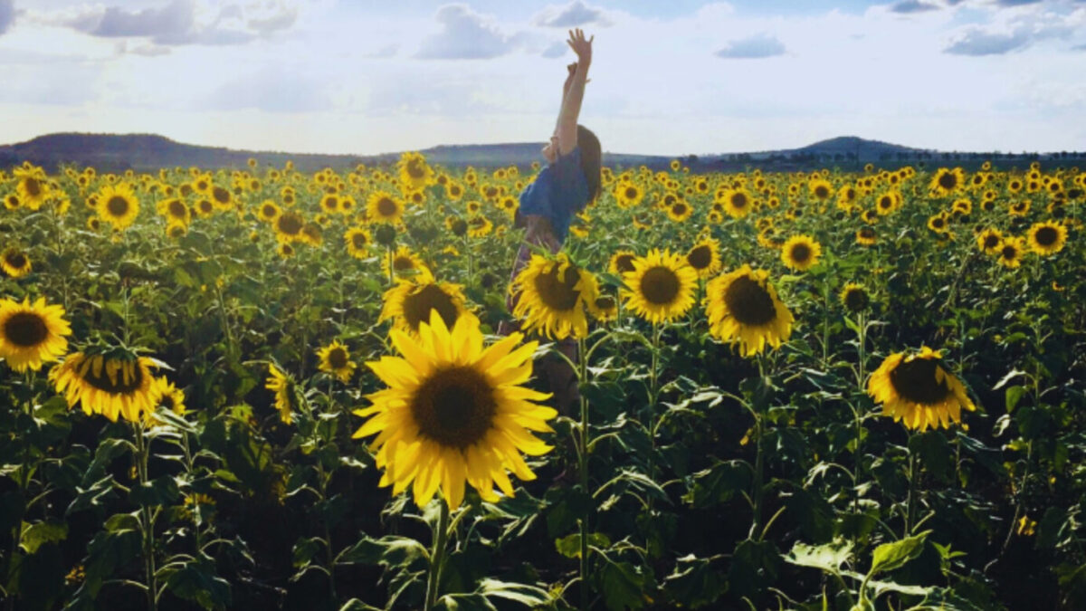 Visita el Rancho San Juan Diego: Girasoles en Guadalajara 2025