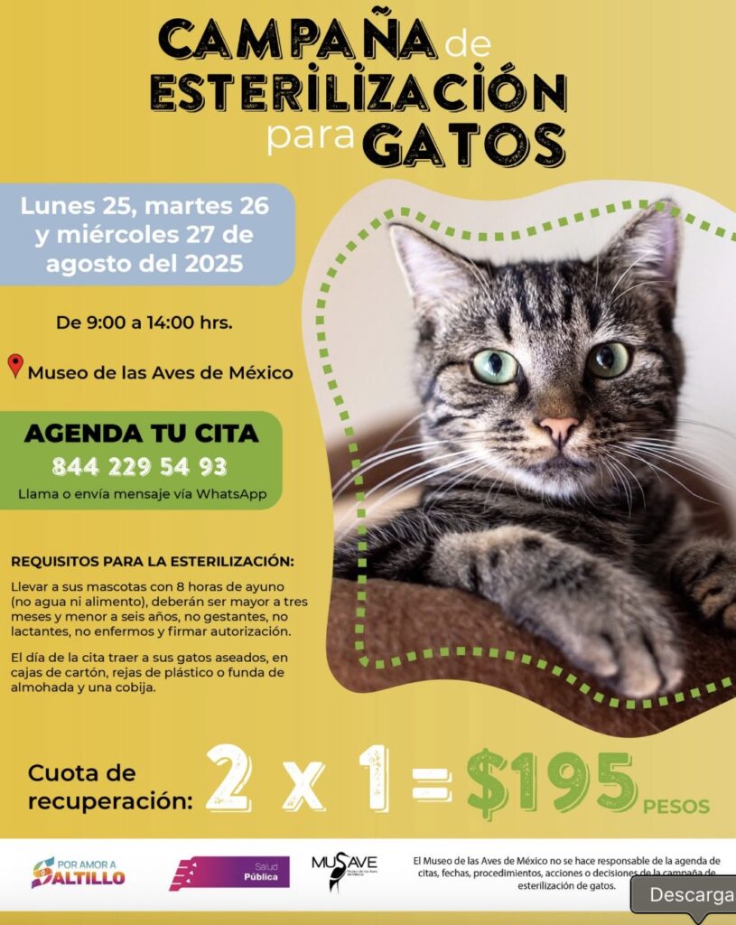 Cupo limitado: esterilización de perros y gatos en el MUSAVE este agosto