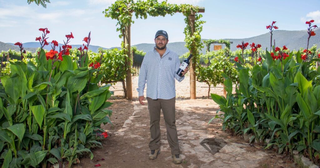 José Alejandro Dávila Villarreal, Director General en Bodegas del Viento