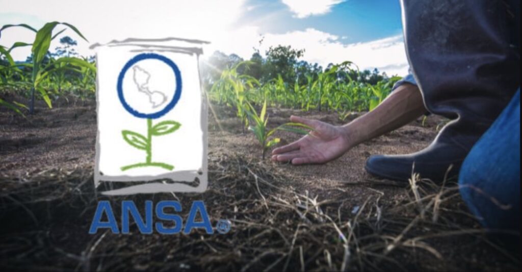 Conoce las empresas más destacadas de Jalisco en 2022