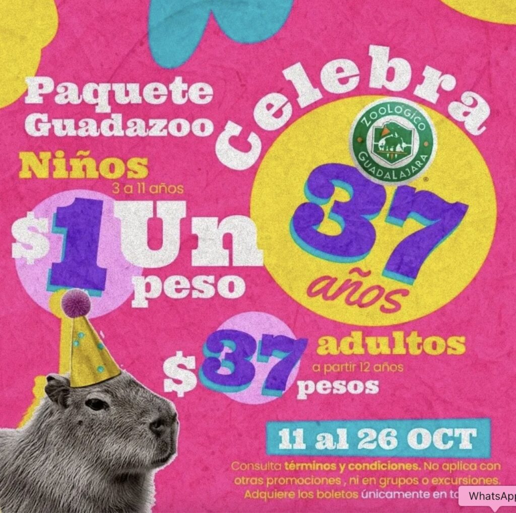 Zoológico Guadalajara de fiesta: Entradas a precio especial por su aniversario 37