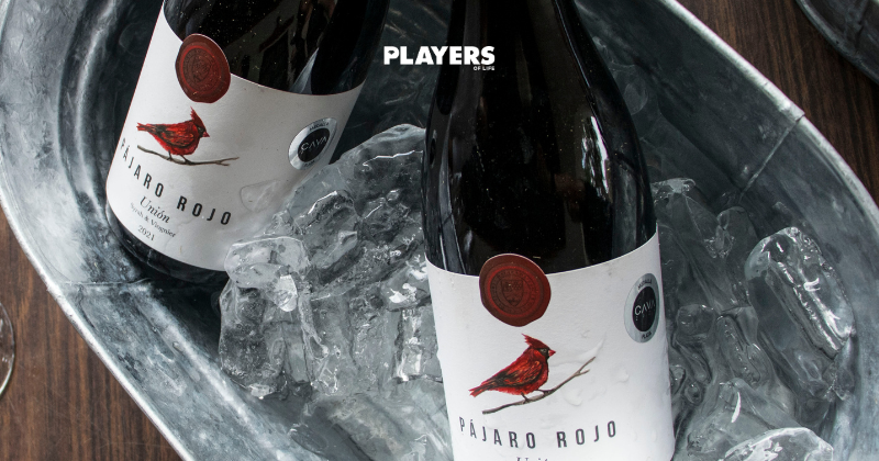 Hacienda San Francisco | El viñedo familiar que posiciona a Saltillo en el mapa vitivinícola de México