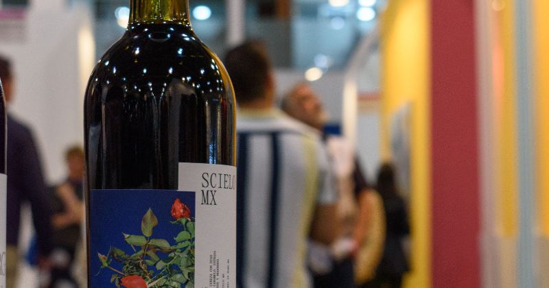 Arte y Cultura / Lifestyle / Vinos