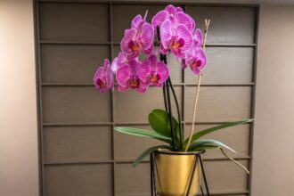 Ideas DIY (Do It Yourself)